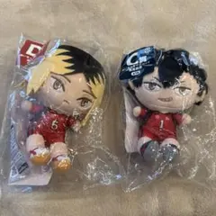 ハイキュー ぬいもっちマスコット 孤爪研磨 黒尾鉄朗 セット