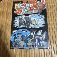 ポケモンセンター限定 キュレム クリアファイル