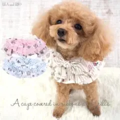 ケープ パピー 小型犬 犬 猫 ペット 服 リボン フレア P832-834