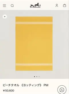 2026年最新】エルメス ビーチタオルの人気アイテム - メルカリ