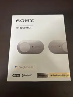 SONY ソニー ワイヤレスイヤフォン ＷF-1000XM3