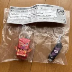 仮面ライダー　めじるしアクセサリー4 ガチャ2個セット