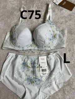 Wacoal レシアージュ ブラショーツセットC75/L GYのサムネイル