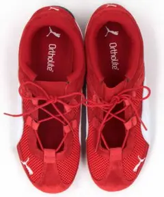 Item thumbnail for item e93af7c3-baac-49bd-93bc-a0e8f1e4df28