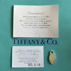 新品 Tiffany & Co.2017年 名古屋ウィメンズ マラソン 完走賞 ティファニー 名古屋ウィメンズ マラソン GO WOMAN 2017年 完走賞