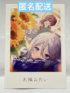 プロセカ 劇場版 思い出写真カード 7週目 入場者特典 映画