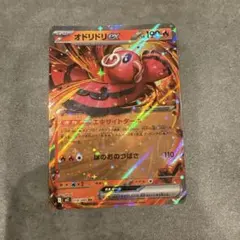 2026年最新】オドリドリex SRの人気アイテム - メルカリ