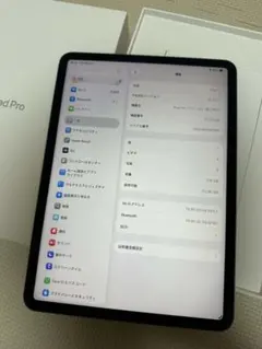 iPad Pro スペースグレー 本体