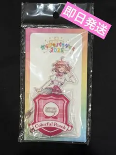 新品　カラフルピーチ　のあさん　アクスタ　アクリルスタンド　パラぴち2025