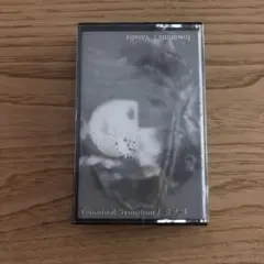 2026年最新】ビジュアル系 デモテープの人気アイテム - メルカリ