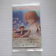 名探偵コナン　イタジャガカード
