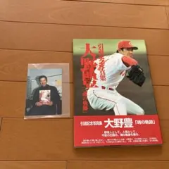 大野豊 サイン入り記念品 シリアルNo.678 大野豊 サイン入り記念品 シリアルNo.678 大野豊 サイン入り記念