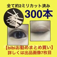 Item thumbnail for item 2d2699e4-12ff-41c8-b88d-272ea5db36b9