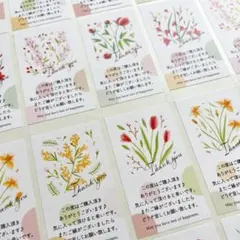 ありがとうシール/花柄6種