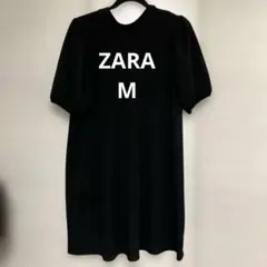 Item thumbnail for item 8510c61a-c96c-45c7-ab9a-d52271758581