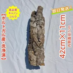 B486 高品質 ポルトガル産 厚目 コルク樹皮 天然 コルク板 バージン