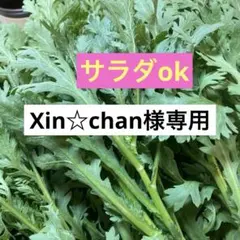 春菊200g以上　箱込み250g以上ネコポスいっぱいのサムネイル