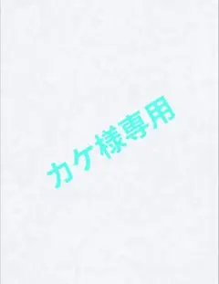 カケ様 リクエスト 3点 まとめ商品