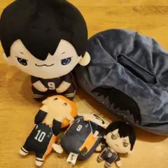 ハイキュー!! 影山飛雄 日向翔陽 ぬいぐるみ マスコット ティッシュケース