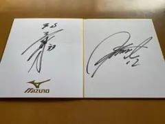 Item thumbnail for item 912e3b4d-bc41-45b8-a6f9-9c771f682e75