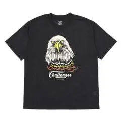 レア チャレンジャー ピグメント ネイバーフッド マシス Wtaps