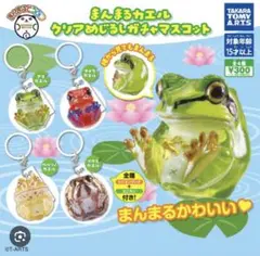 圓滾滾的青蛙 透明標記吊飾