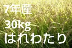 ☆ 令和7年　 　青森県産 　はれわたり　 玄米〈30kg〉のサムネイル