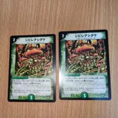 T.T様 リクエスト 3点 まとめ商品