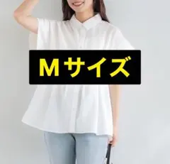 Item thumbnail for item 804767b2-35fa-45b7-9ad3-72e4f39e8ecb