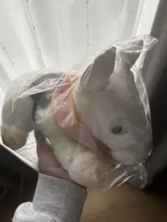 2025年最新】ソダシ ぬいぐるみ 桜花賞の人気アイテム - メルカリ