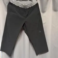 THE NORTH FACE NB32081 ハーフパンツ Mのサムネイル