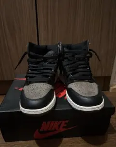 NIKE Air Jordan 1 RETRO HIGH OG GS パロミノ