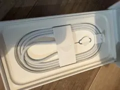 iPhone16 純正 充電ケーブル