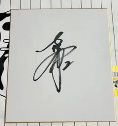 松坂大輔 直筆サイン色紙 春季キャンプ プロ野球 WBC MLB 侍ジャパン