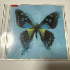 Item thumbnail for item 0d485562-6c86-4977-8f1e-14bfd489bf66