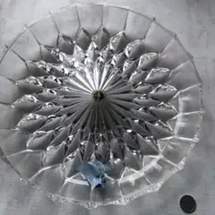 まーくん様:珍　ガラス風　プラスチック丸皿