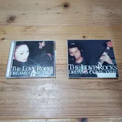 Item thumbnail for item 6f13d5d4-3b33-4648-bdf0-446e2df3f27d