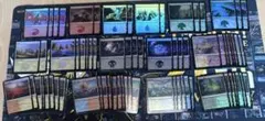MTG Foil 旧枠 平地/Plains 日本語INR 基本土地 20枚 - メルカリ