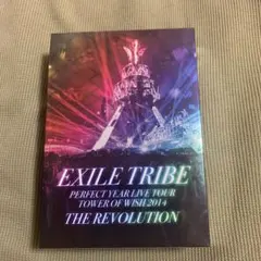 EXILE TRIBE/EXILE TRIBE PERFECT YEAR LI…