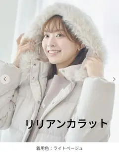 Item thumbnail for item c691b771-c9b8-4b7d-a673-6c33b9439f00