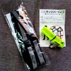 Item thumbnail for item c4089c7d-cfed-40fc-88eb-a35b25677b0f