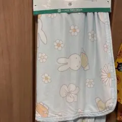 Item thumbnail for item b06ce9a7-3d3c-47bd-bc1c-1fc4cdf2b480