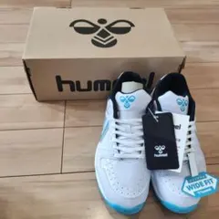 Item thumbnail for item 6b16c479-a26e-4df9-828a-a165555d23b0