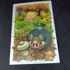 ポケモン ポストカード