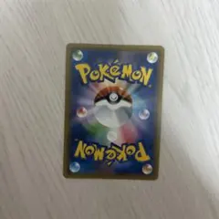 もっちゃん様専用