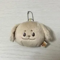 c*o様 enhypen ジェイク　40cm ぬいぐるみ　新品　マスター enhypen ジェイク 10センチ ぬいぐるみ マスター 10cm 新品