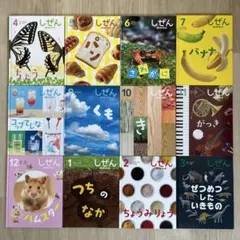 しぜん キンダーブック 2023年度1年分12冊セット フレーベル館