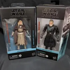 未開封 スターウォーズ ブラックシリーズ サビーヌ レン（ドラマAHSOKA