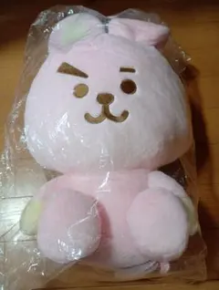 BT21 フルーツ ぬいぐるみ L COOKY