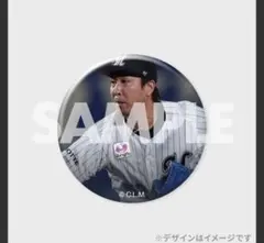 わんわんおー ☆ジェフ千葉ロッテ☆様 リクエスト 3点 まとめ商品